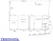 Содержание кур и кроликов вместе 126776838480927038