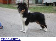 http://forumimage.ru/thumbs/20100504/127300160179474339.jpg