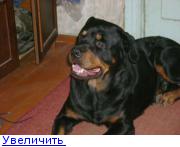http://forumimage.ru/thumbs/20110214/129766838203002753.jpg