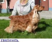 http://forumimage.ru/thumbs/20110214/129766917763005665.jpg