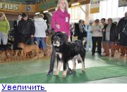 http://forumimage.ru/thumbs/20110222/12983587314000878.jpg