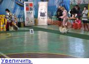http://forumimage.ru/thumbs/20110222/12983589139200984.jpg