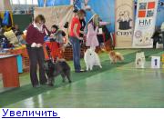 http://forumimage.ru/thumbs/20110222/129836115709009223.jpg