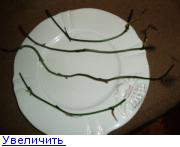 http://forumimage.ru/thumbs/20111020/131911358891009010.jpg
