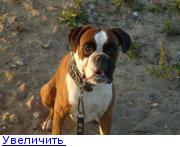 http://forumimage.ru/thumbs/20120202/132818522522004996.jpg