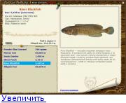 Русская рыбалка 3 bear edition тайланд giant siamese carp дешевый туры в тайланде