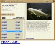 Сколько Стоит Белый Амур В Магазине