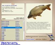 Рыбхоз Константиново • Базы • РУССКАЯ РЫБАЛКА