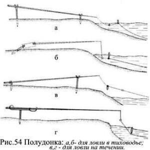 Полудока: характеристика, способы ловли, выбор места