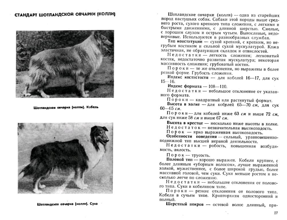 ФОРУМ ЛЮБИТЕЛЕЙ КОЛЛИ И ШЕЛТИ * Просмотр темы - Колли советского стандарта ДОСАА