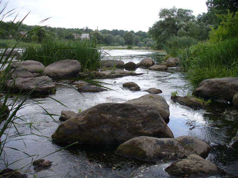 Зображення