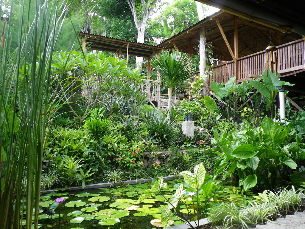 Новогодний трип в лето!