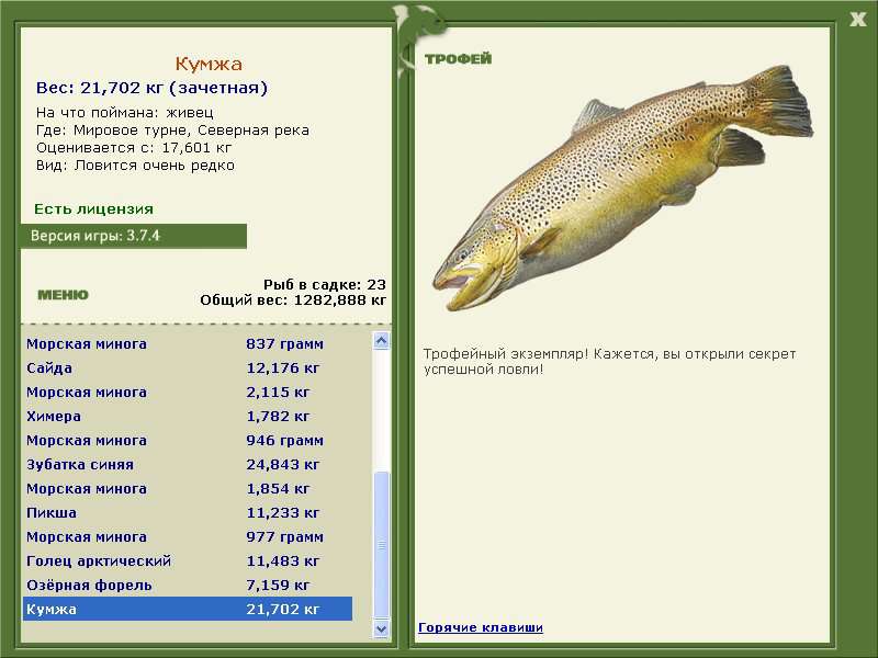 турниры • РУССКАЯ РЫБАЛКА