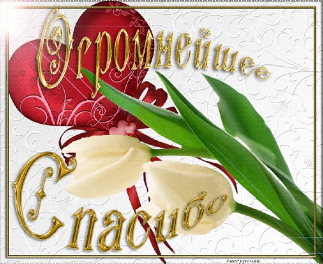 Картинки Со Словом Спасибо За Поздравления