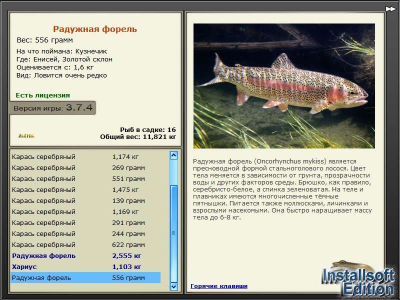 турниры • РУССКАЯ РЫБАЛКА