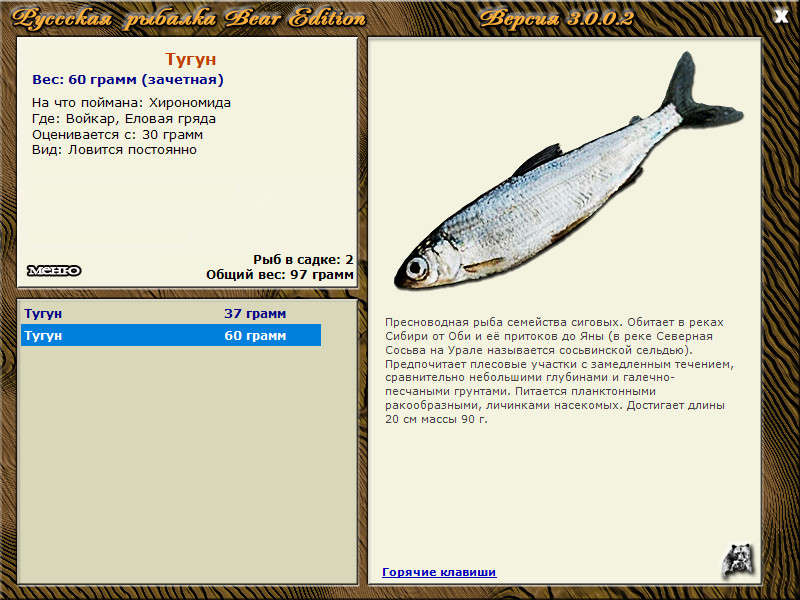 Летний Енисей