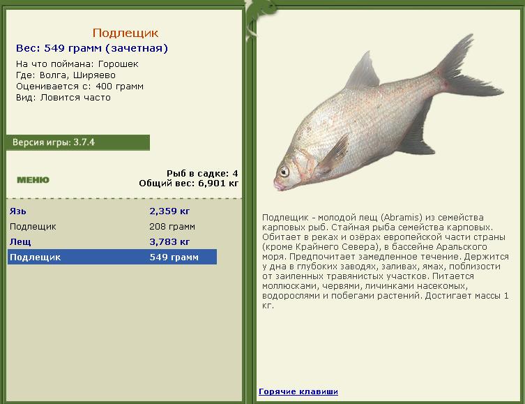 турниры • РУССКАЯ РЫБАЛКА