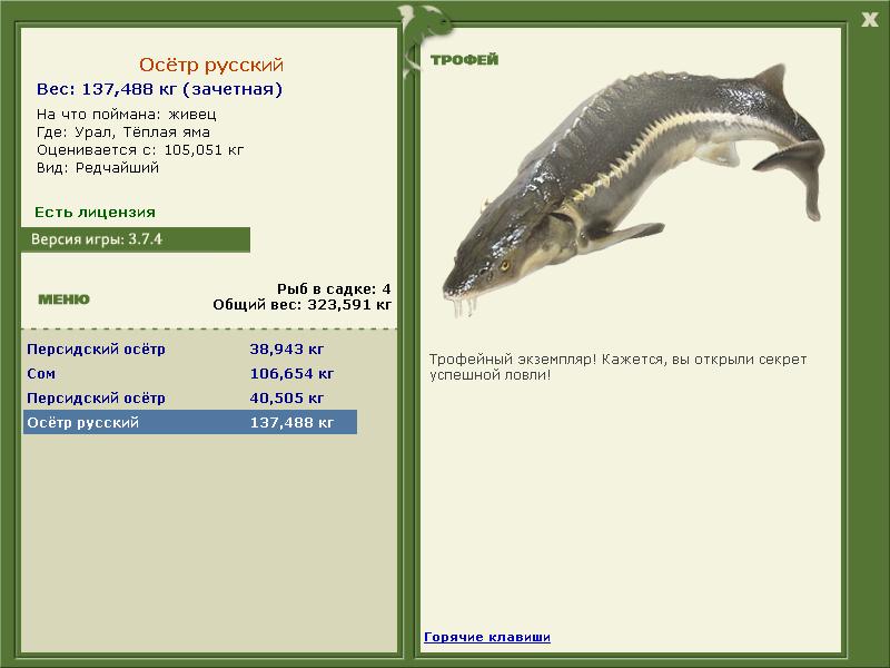 турниры • РУССКАЯ РЫБАЛКА