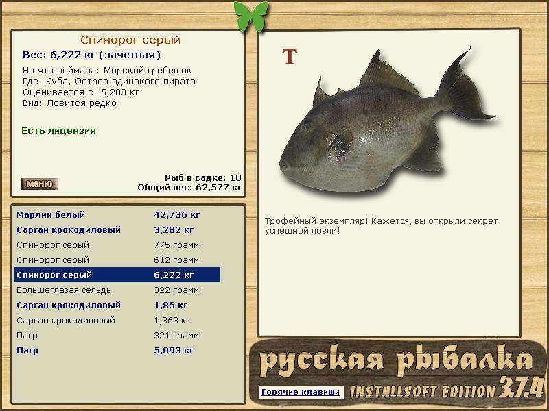 турниры • РУССКАЯ РЫБАЛКА