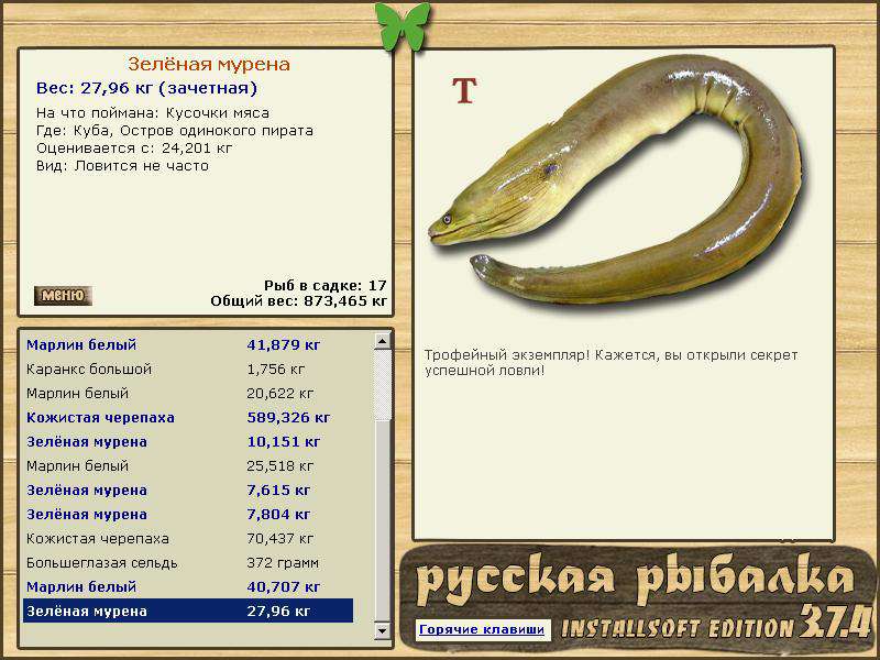 турниры • РУССКАЯ РЫБАЛКА