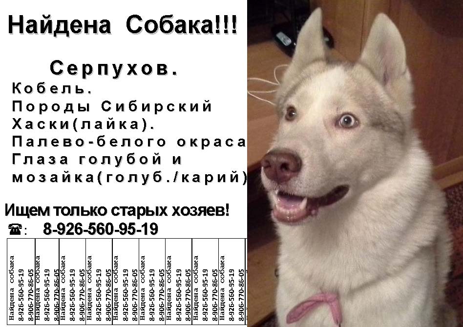 команда - Просмотр темы - Наша команда