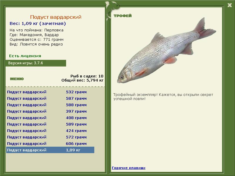 турниры • РУССКАЯ РЫБАЛКА