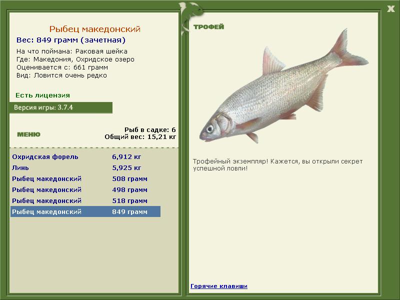 турниры • РУССКАЯ РЫБАЛКА