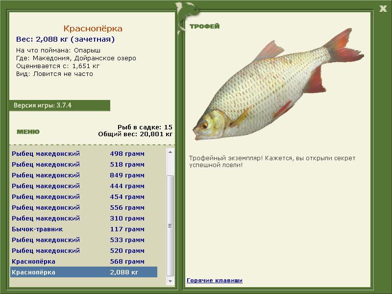 турниры • РУССКАЯ РЫБАЛКА