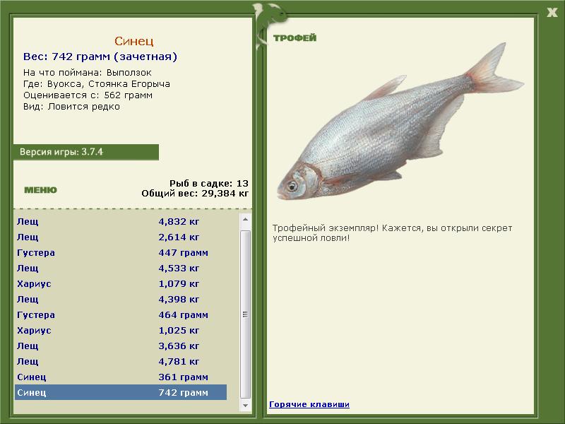 турниры • РУССКАЯ РЫБАЛКА