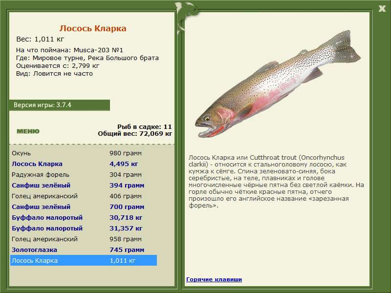 турниры • РУССКАЯ РЫБАЛКА