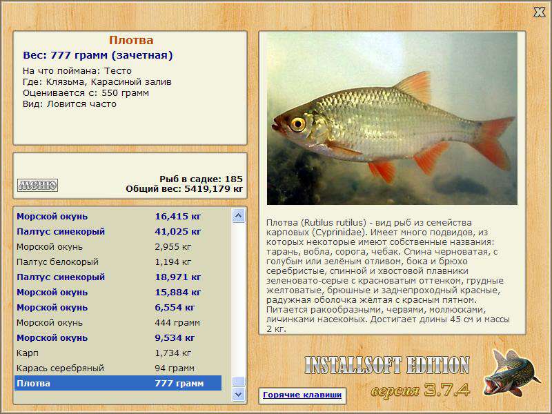 турниры • РУССКАЯ РЫБАЛКА