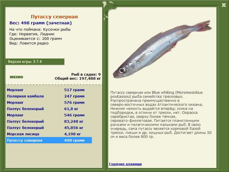 турниры • РУССКАЯ РЫБАЛКА