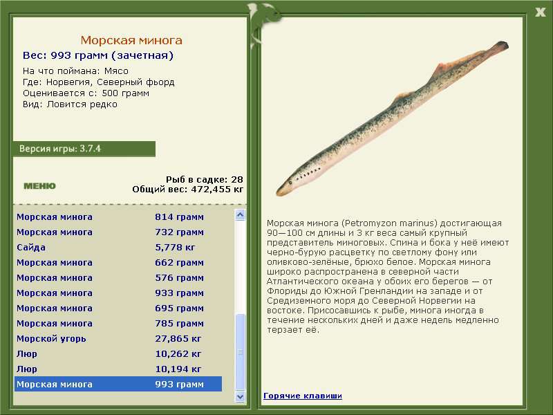 турниры • РУССКАЯ РЫБАЛКА