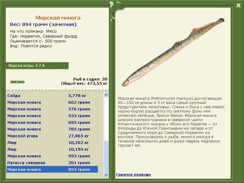 турниры • РУССКАЯ РЫБАЛКА