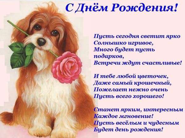 Поздравления С Днем Рождения Аня Своими Словами