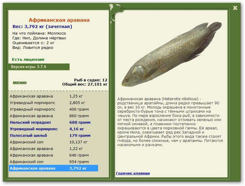 турниры • РУССКАЯ РЫБАЛКА