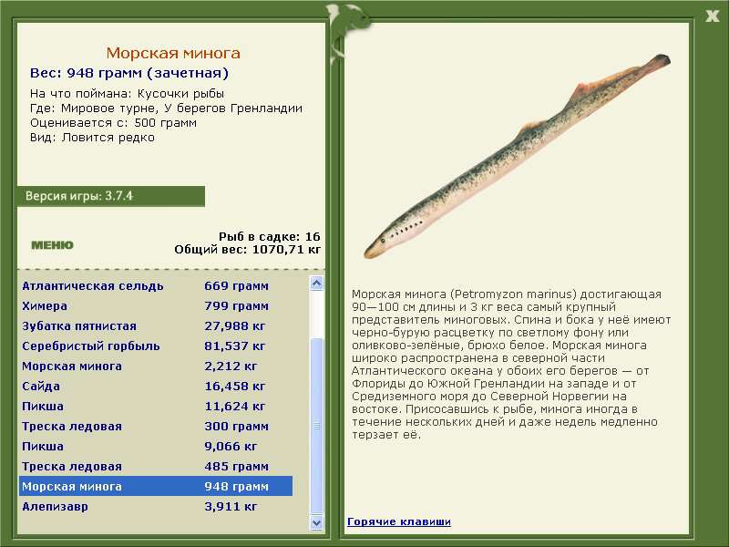 турниры • РУССКАЯ РЫБАЛКА