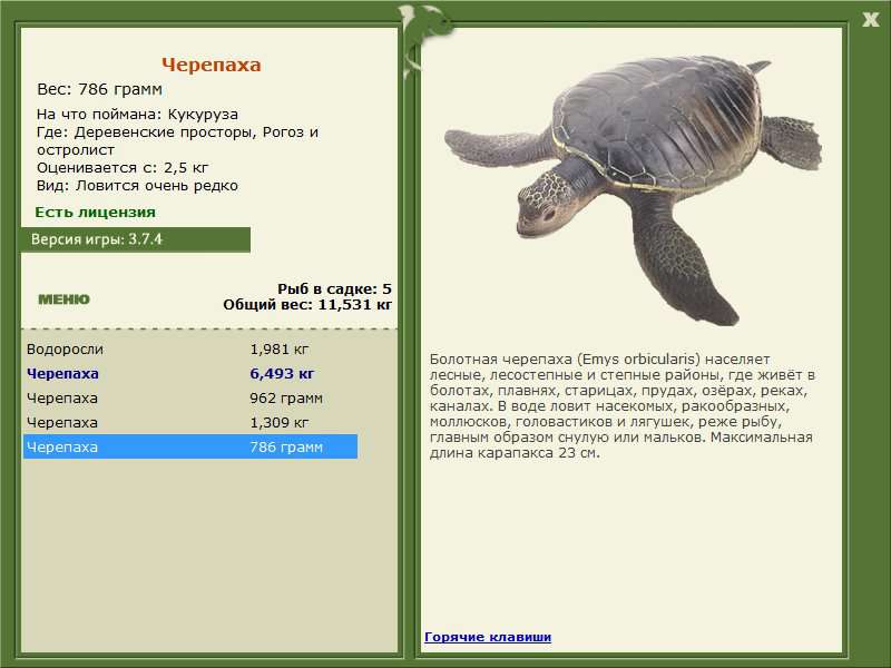 турниры • РУССКАЯ РЫБАЛКА