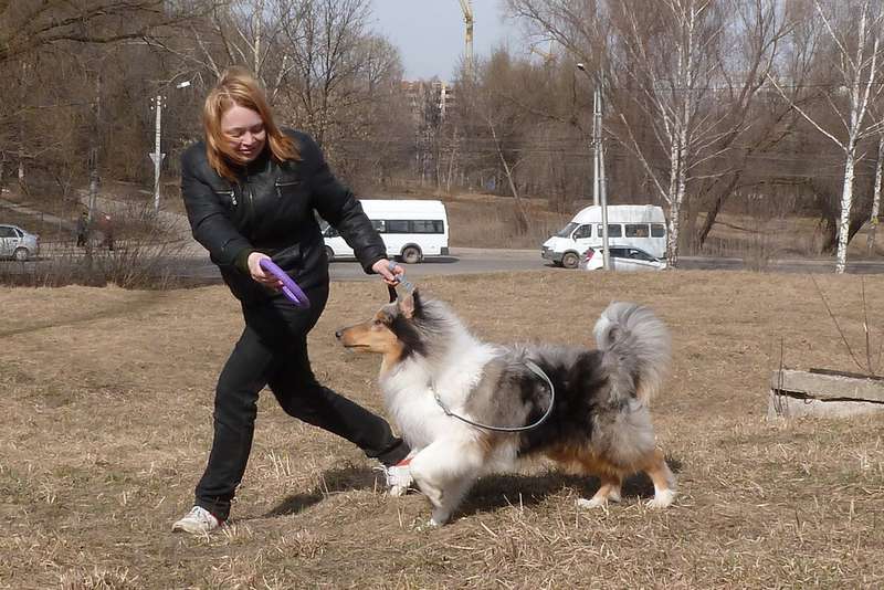  Маленький принц Дэй из Рязани.