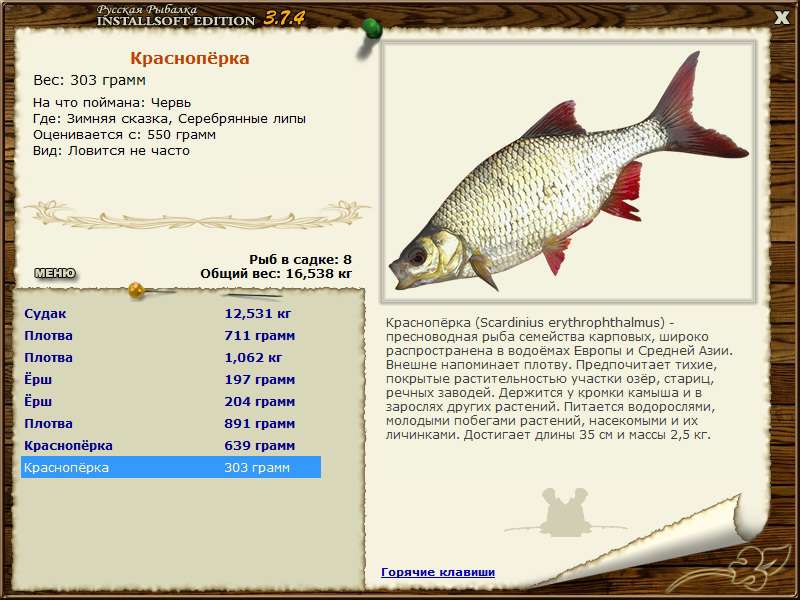 турниры • РУССКАЯ РЫБАЛКА