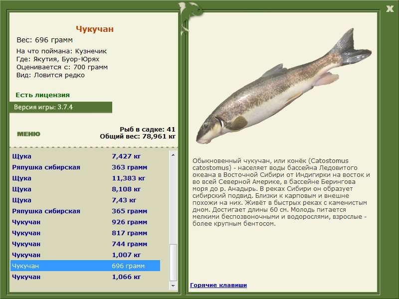 турниры • РУССКАЯ РЫБАЛКА