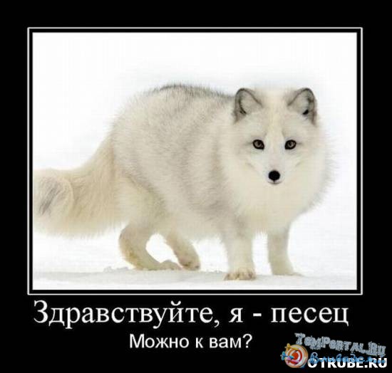 3 • Форум \\