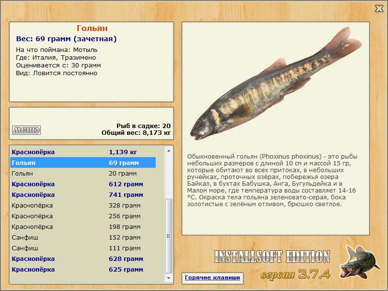 Реальная рыбалка гольян на что ловить