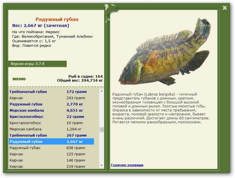 турниры • РУССКАЯ РЫБАЛКА