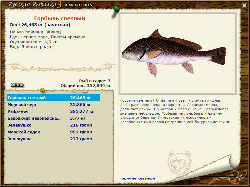 VFL.Ru - надёжный и быстрый фотохостинг с 2009 года