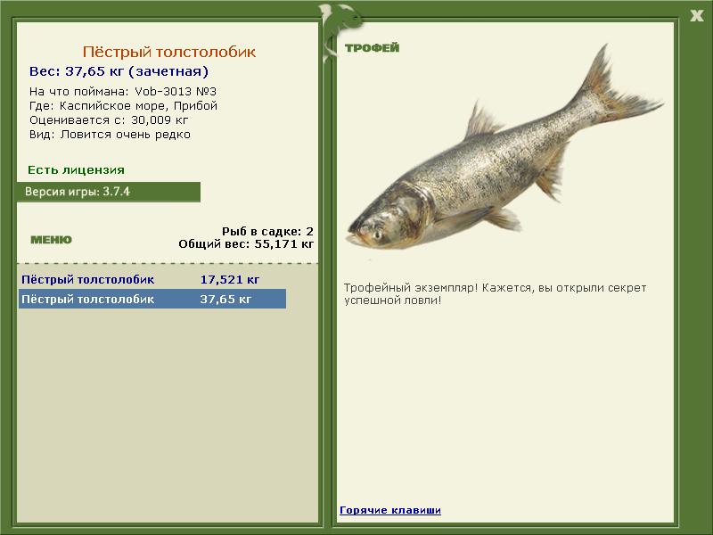 3013 • Блёсны • РУССКАЯ РЫБАЛКА