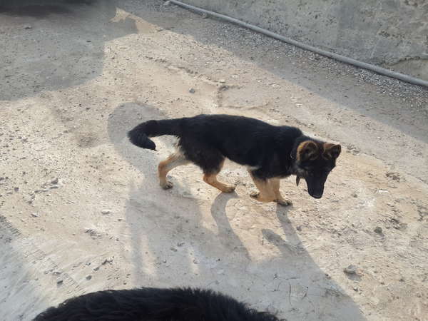  Гром и Молния!!!