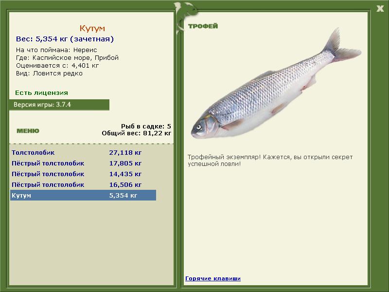 турниры • РУССКАЯ РЫБАЛКА