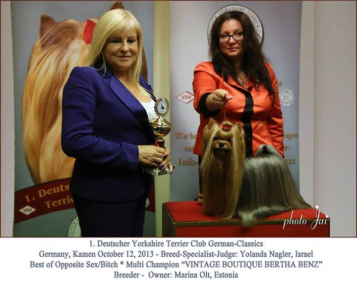 Йоркширский терьер в Эстонии! 