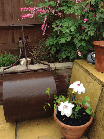  Люблю цветы! • Форум Знакомства с иностранцами